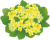 カランコエY（透過PNG）EPSはCS2版
