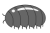 ダンゴムシ