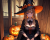 ハロウィンの魔法少女