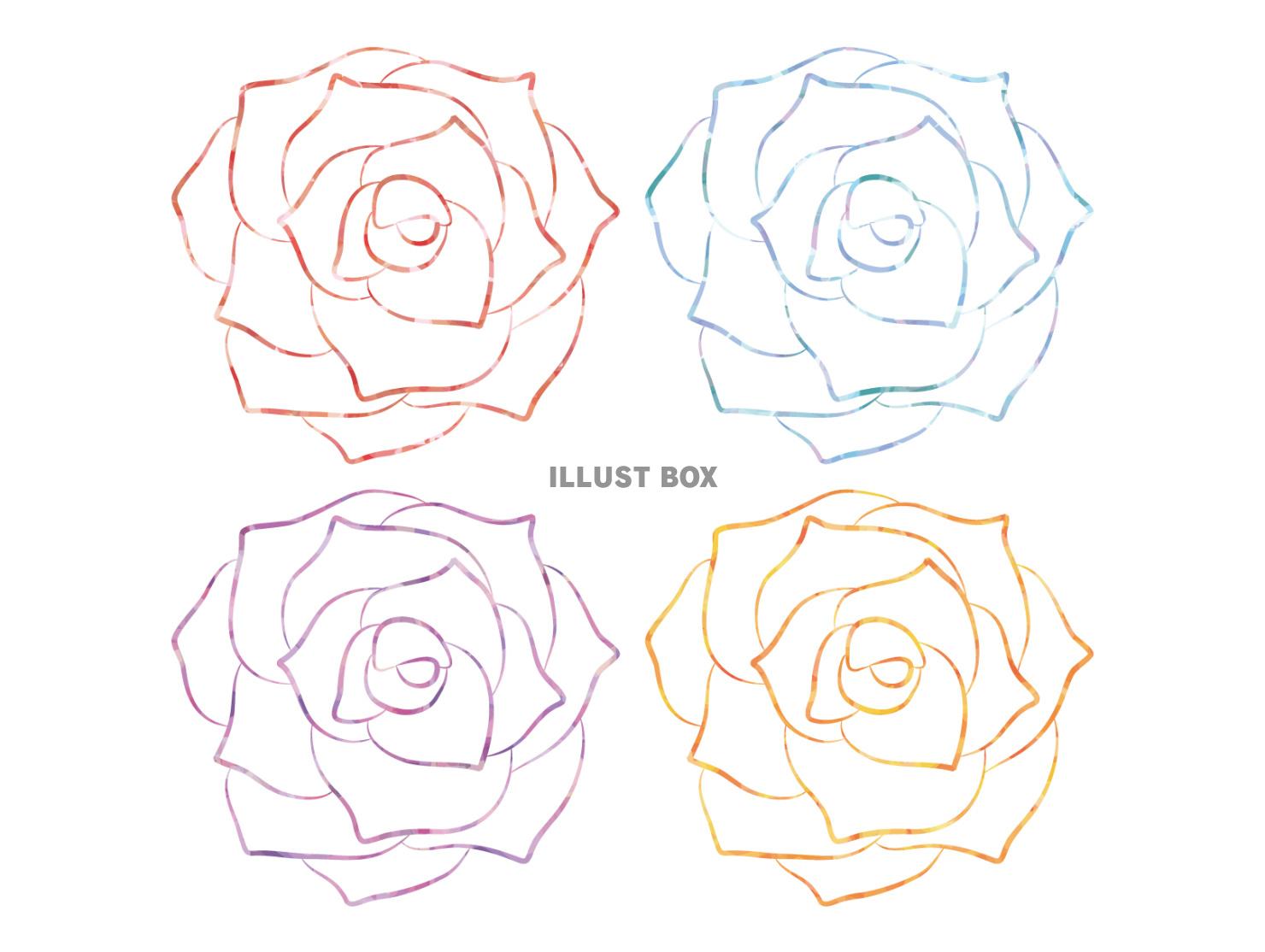 薔薇