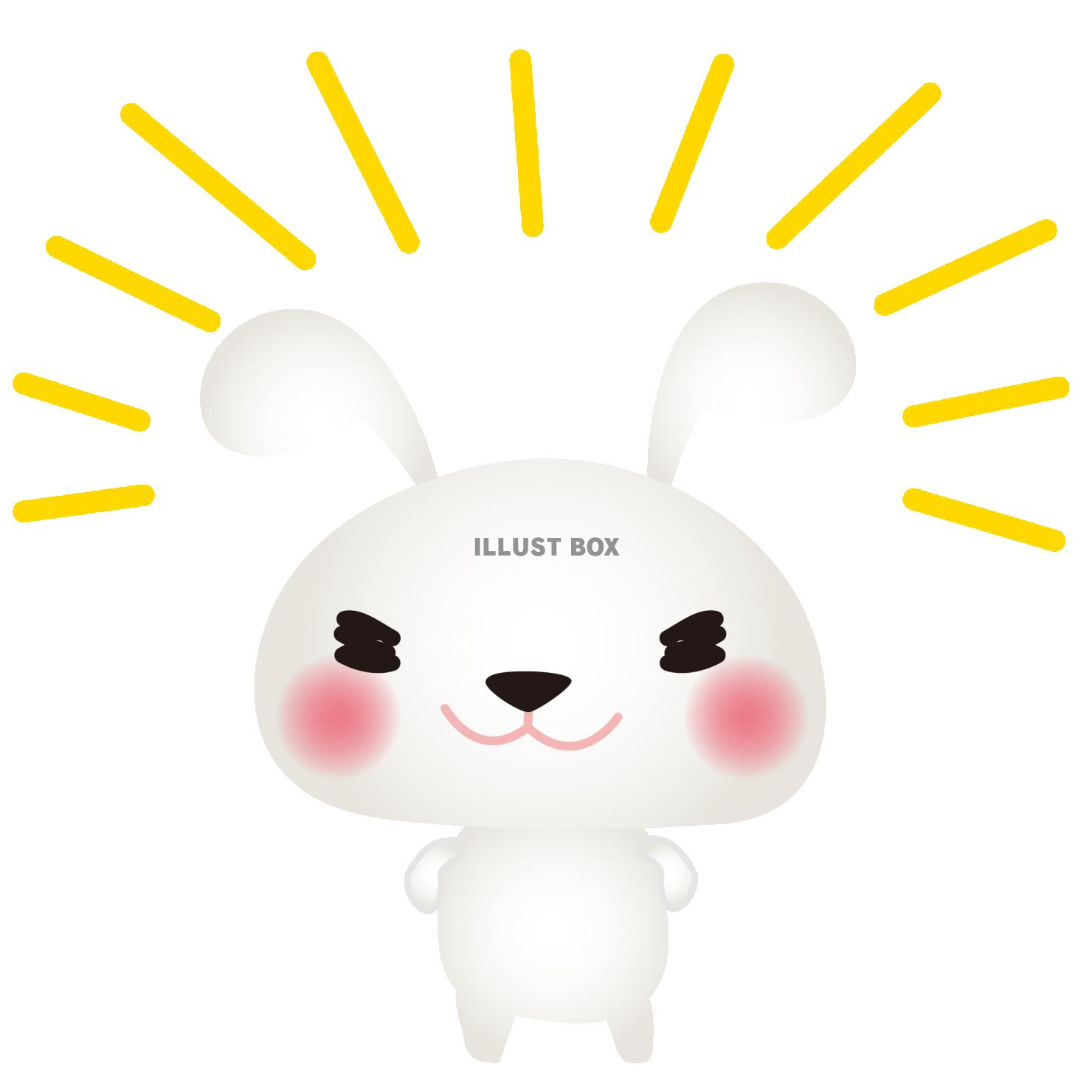 白うさぎひらめき