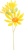斑入りツワブキシリーズ　イラスト３