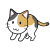 遊びたそうにしている猫　三毛猫