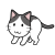 遊びたそうにしている猫　白黒猫