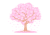 春を告げる桜吹雪舞う満開の桜の木