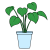 観葉植物