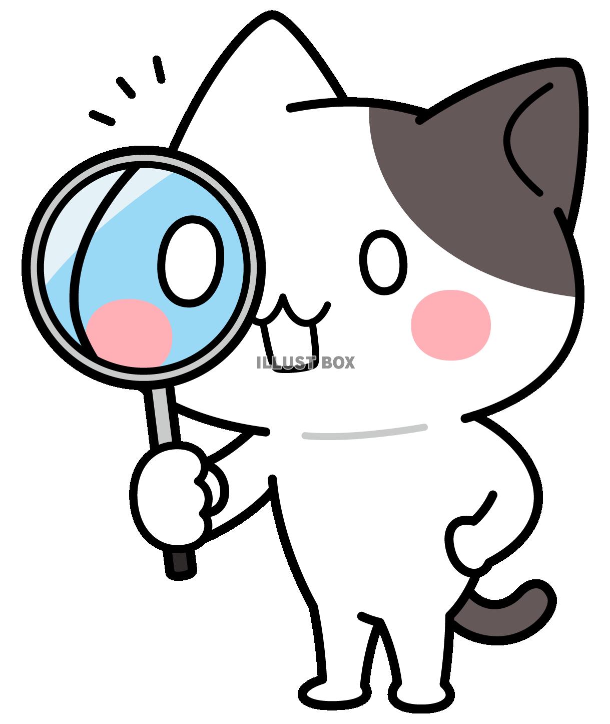 気づいた！＜ぶち猫　にゃんこ＞
