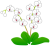 白い胡蝶蘭（洋ラン）のお花２