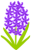 ヒヤシンスのお花（紫）