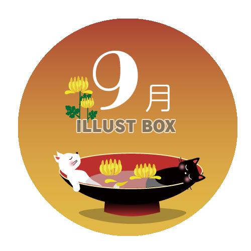 9月の黒猫と白猫のまったり生活　カレンダーロゴ