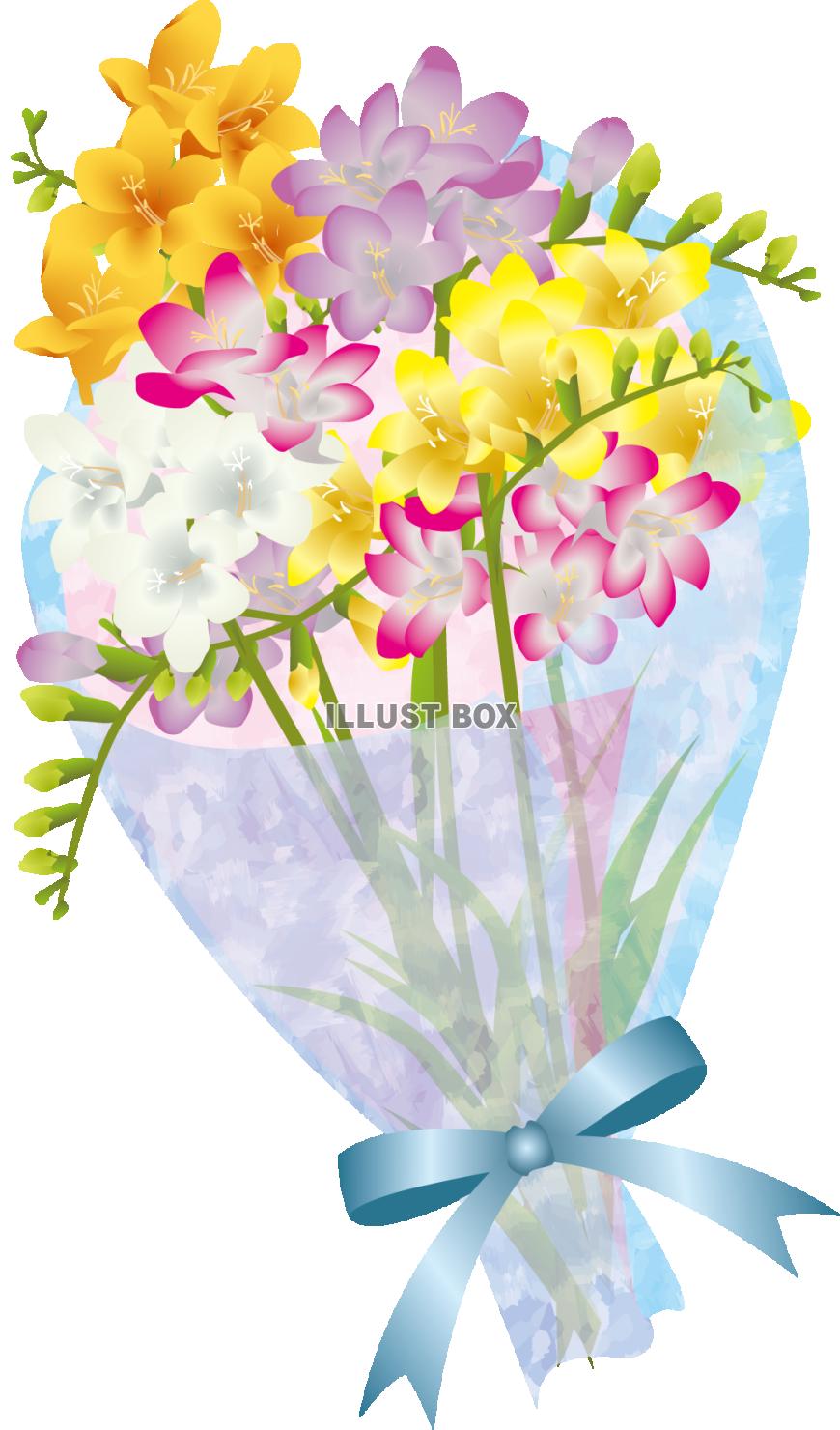 フリージアの花束（透過PNG）