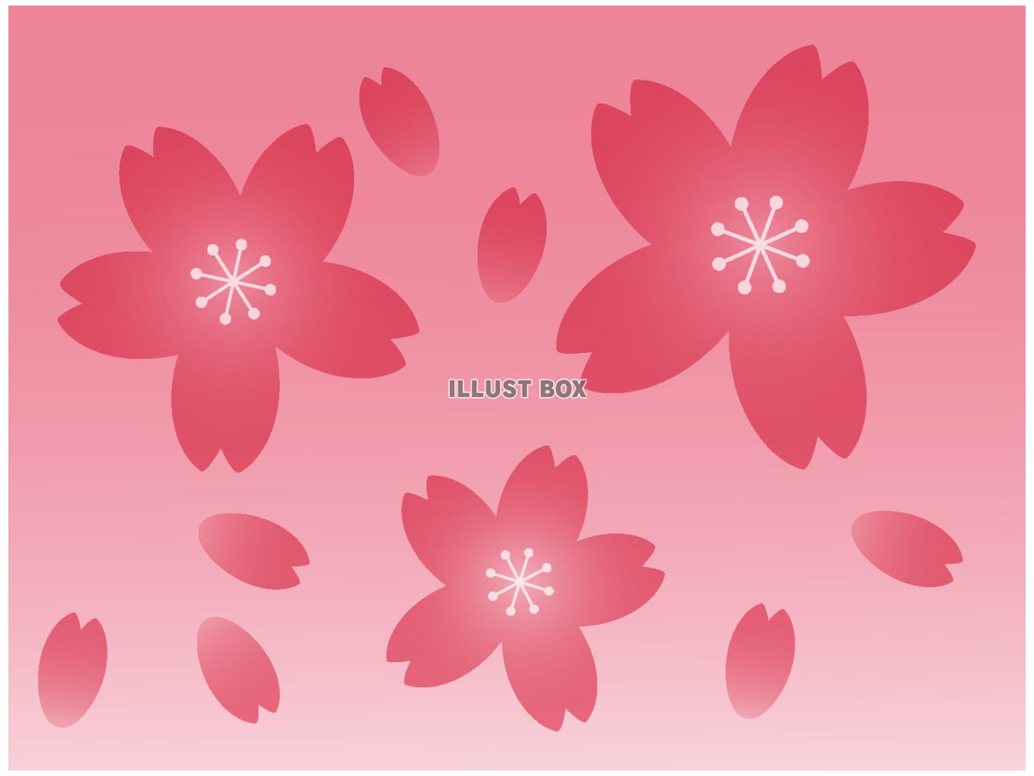 桜のイラスト