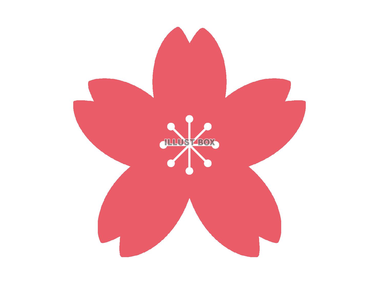 桜のイラスト