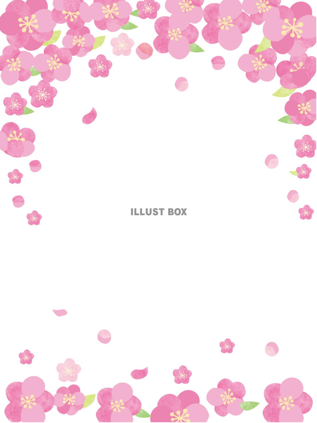ももの花上-タテフレーム