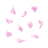 水彩風 舞い落ちる桜の花びら