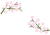 お雛様の季節に可愛いピンクの桃の花