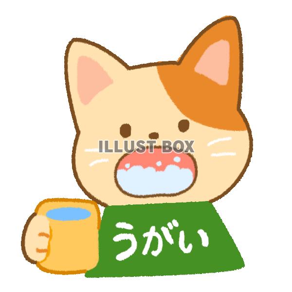 風邪予防でガラガラうがいをする猫