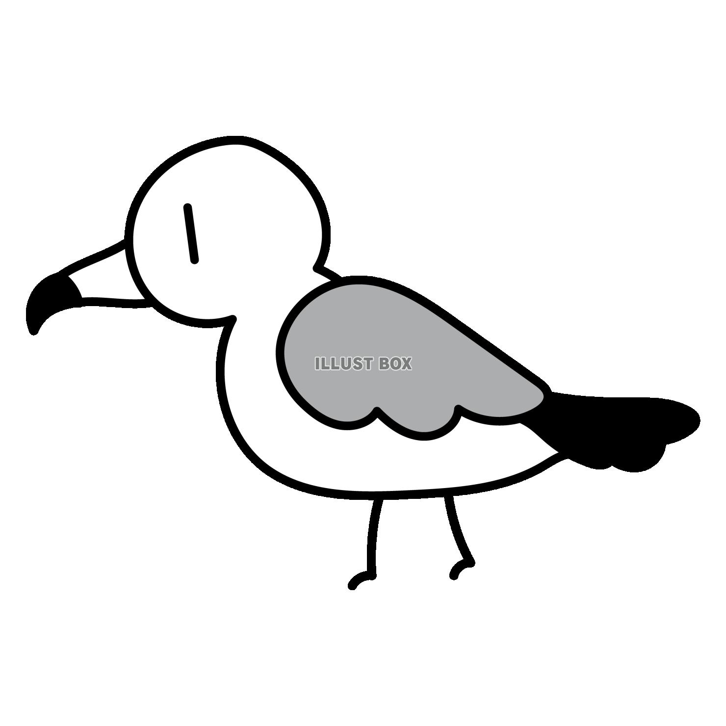 カモメ