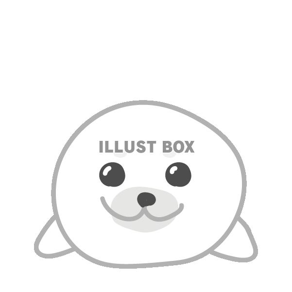 アザラシの子供