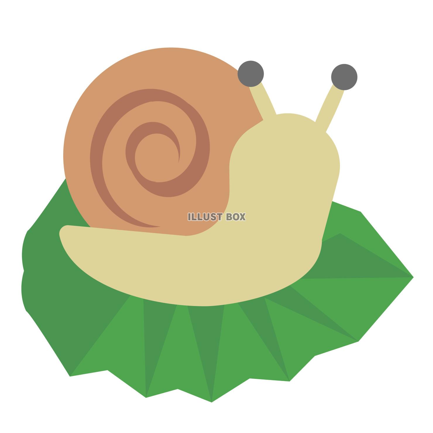 葉の上のかたつむりベクターイラスト