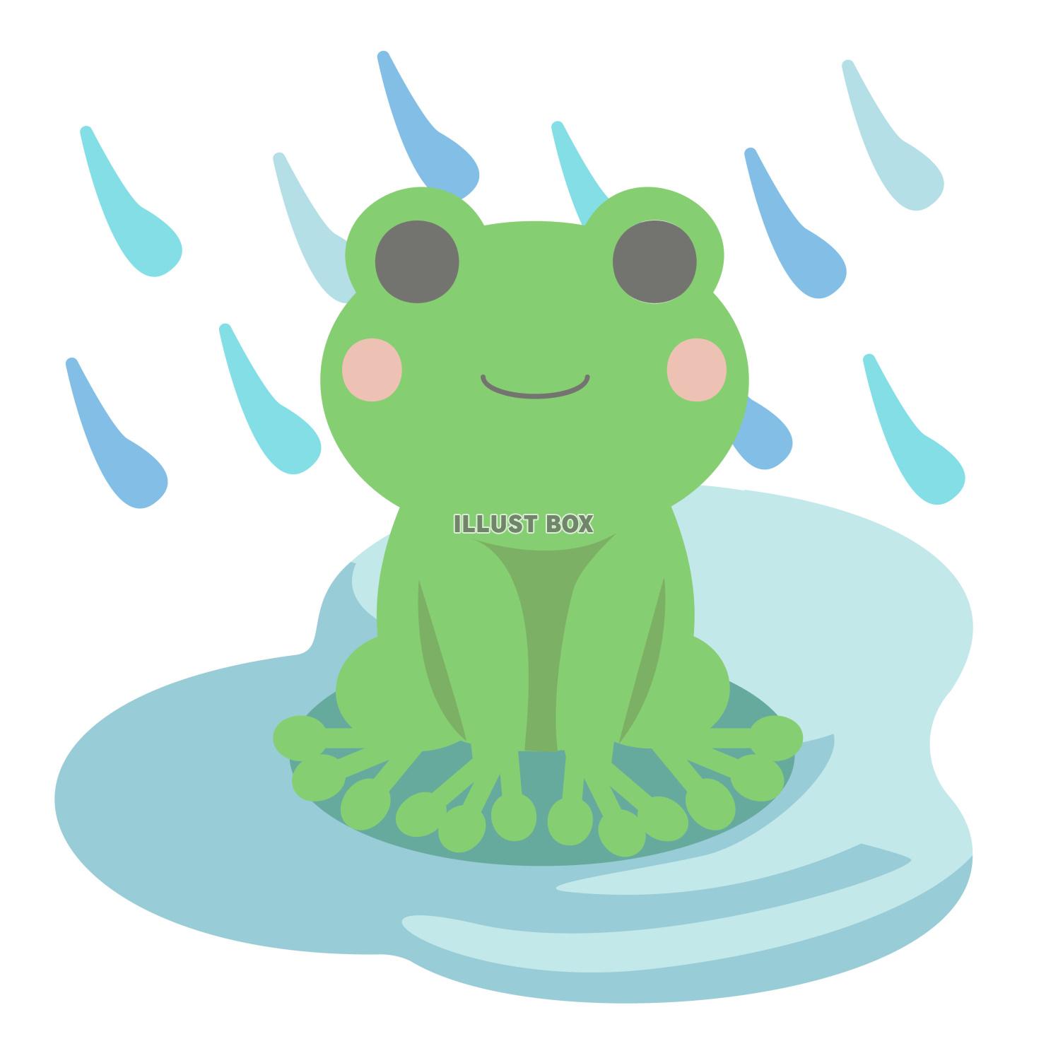 水たまりのカエルのベクターイラスト