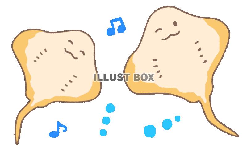 二匹の可愛らしいエイ