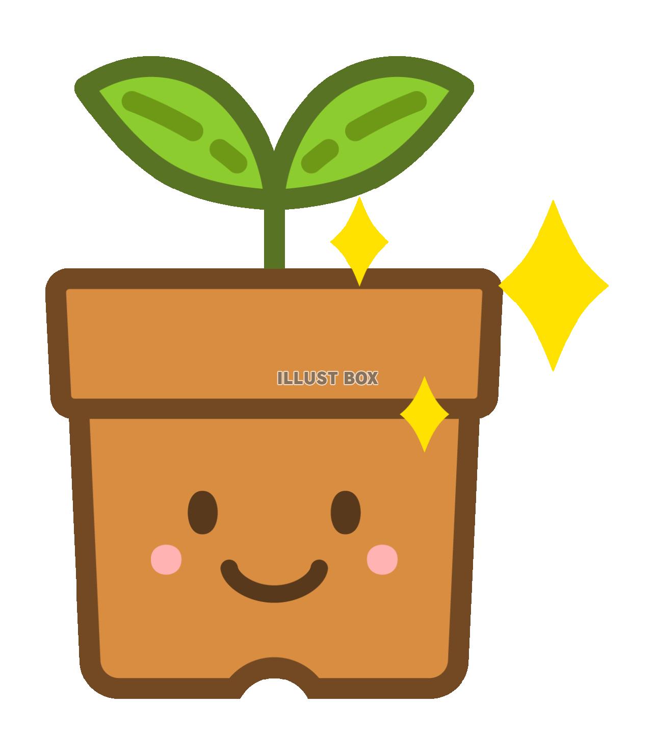 笑顔の鉢植え