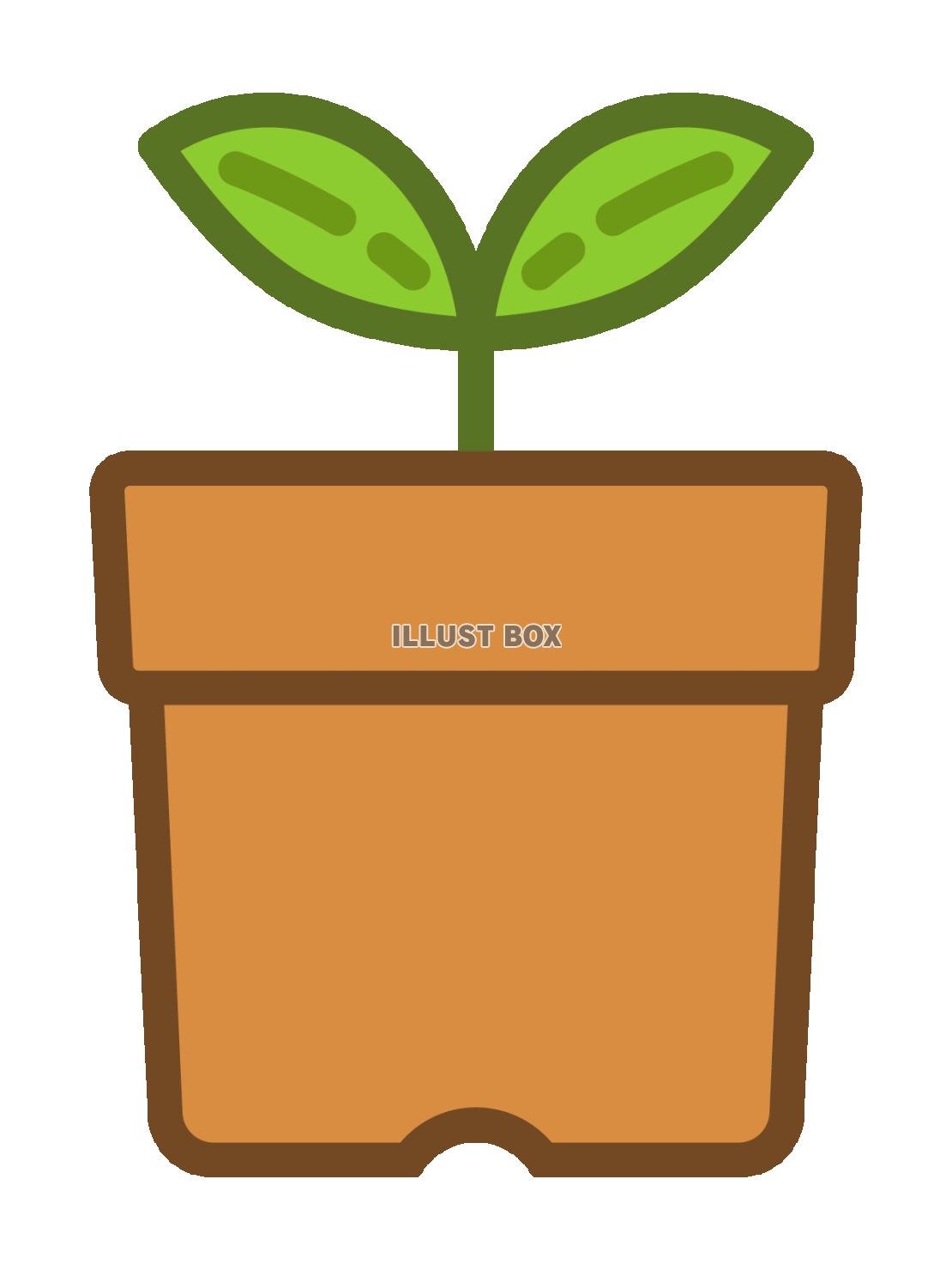 植木鉢と新芽