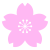 【桜の花】１　透過png