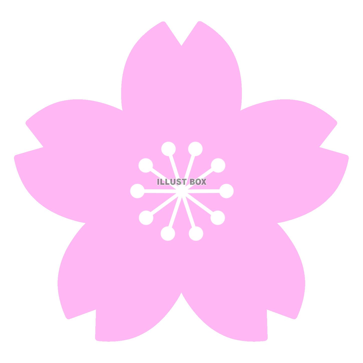 【桜の花】１　透過png