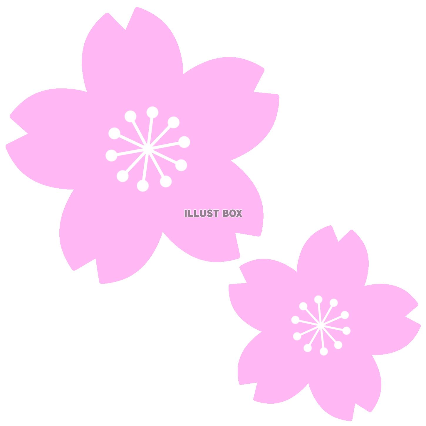 【桜の花】２　透過png