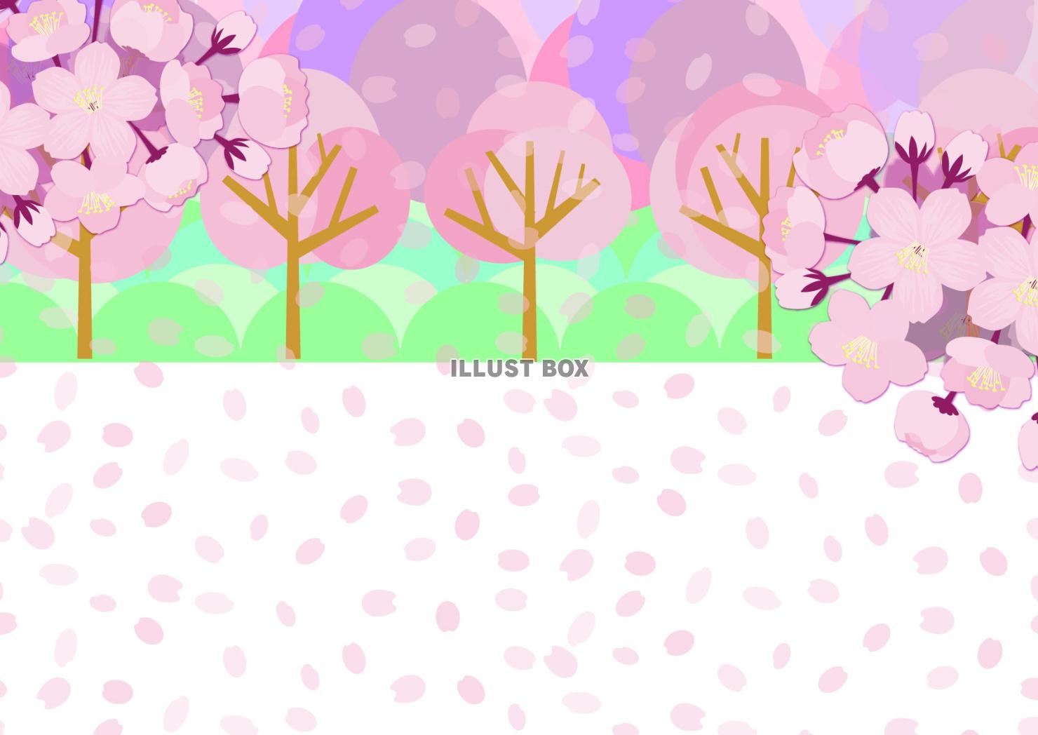 ピンクの桜の木と桜の花の房が綺麗な花吹雪の春のお花見