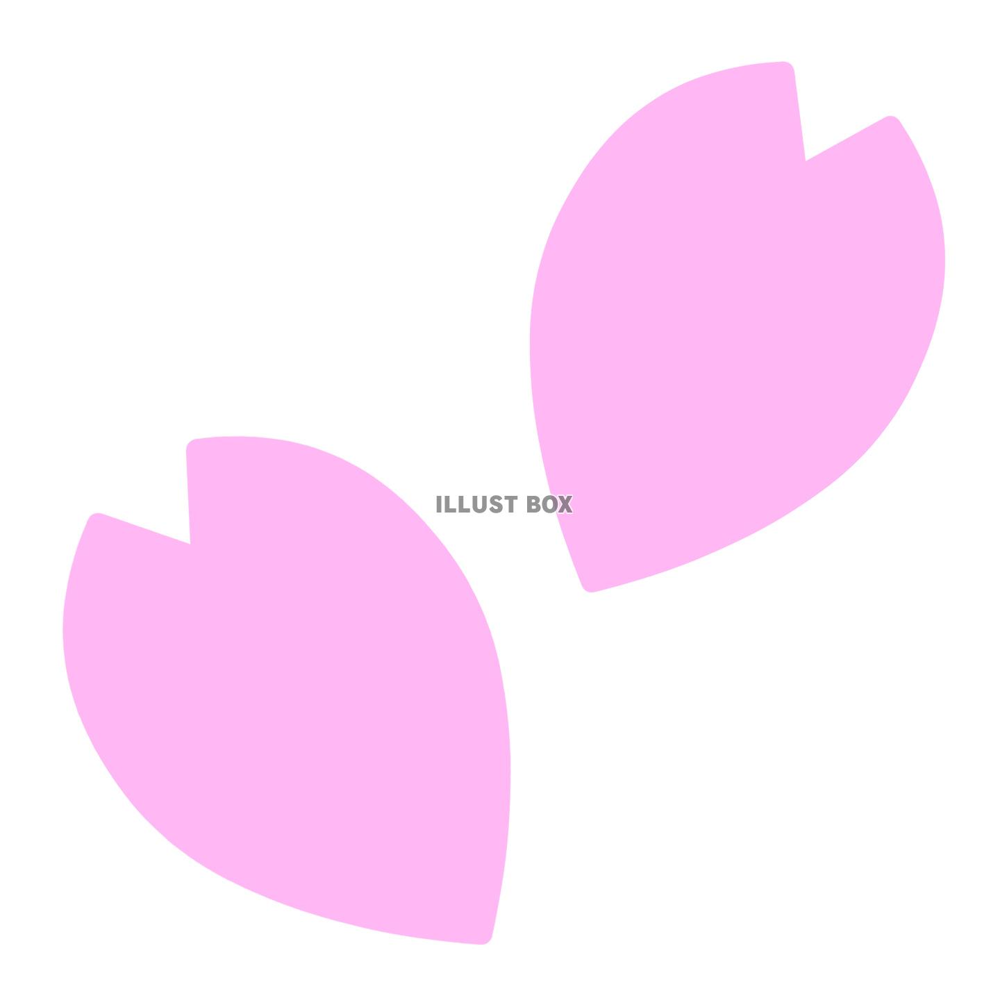 【桜の花びら】２　白背景jpeg