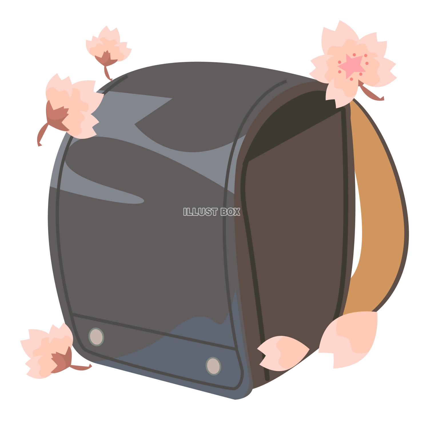 黒ランドセルと桜のベクターイラスト