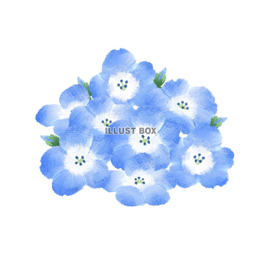 水彩風のネモフィラの塊イラスト