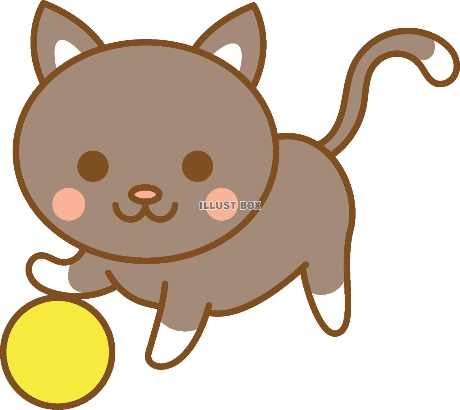 ボール遊びをする猫