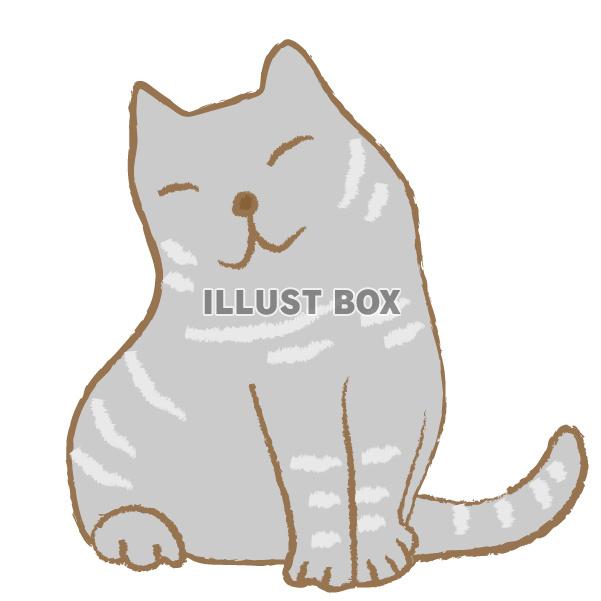 くつろぐ猫