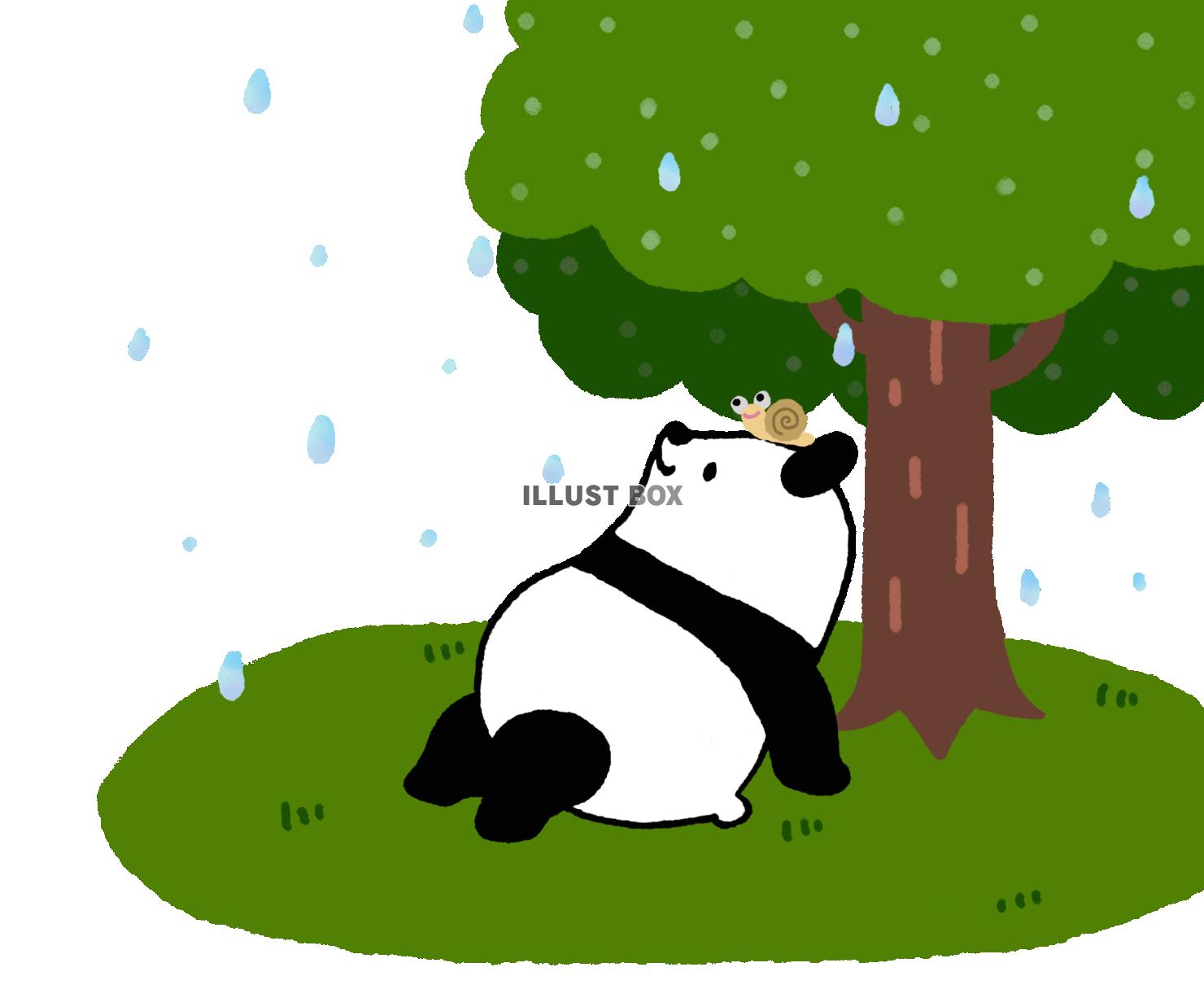 パンダシリーズ　横　木陰で雨やどり