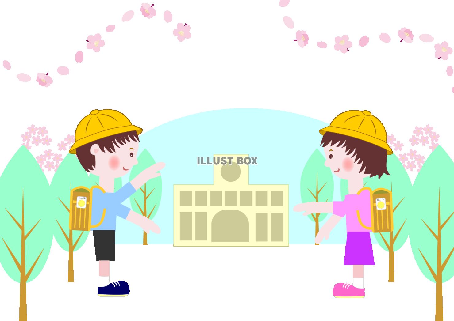 ランドセルを背負った児童の桜の花がまう入学式のイラスト