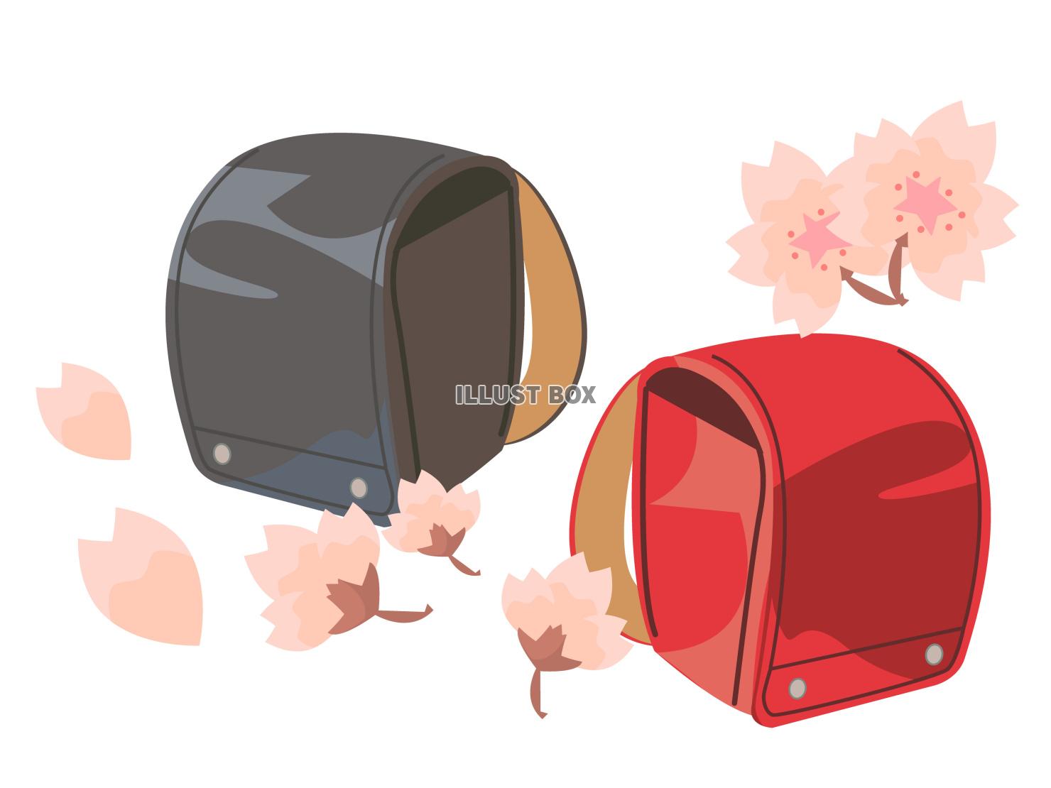 ランドセル黒と赤と桜　ベクターイラスト