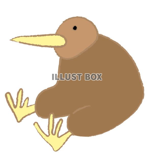 座ったキーウィ