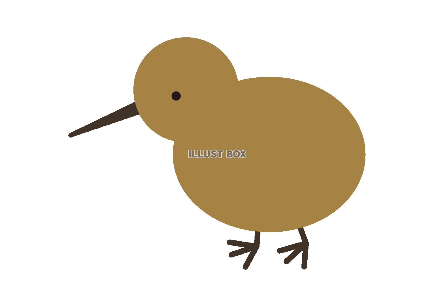 1_動物_鳥・キーウィ