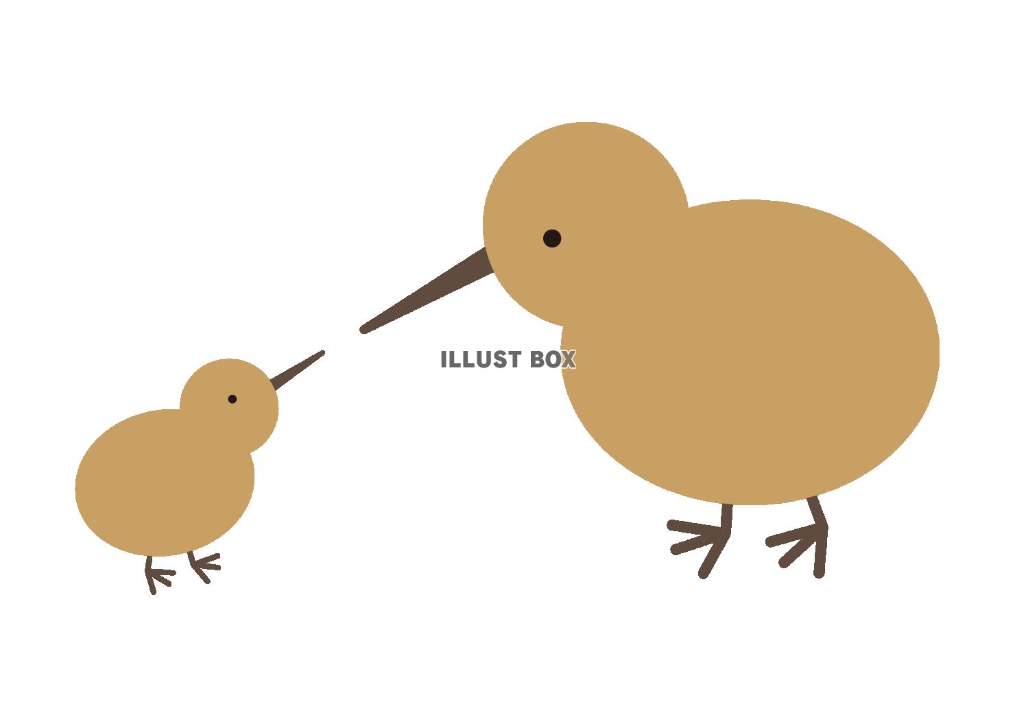 2_動物_鳥・キーウィ・親子