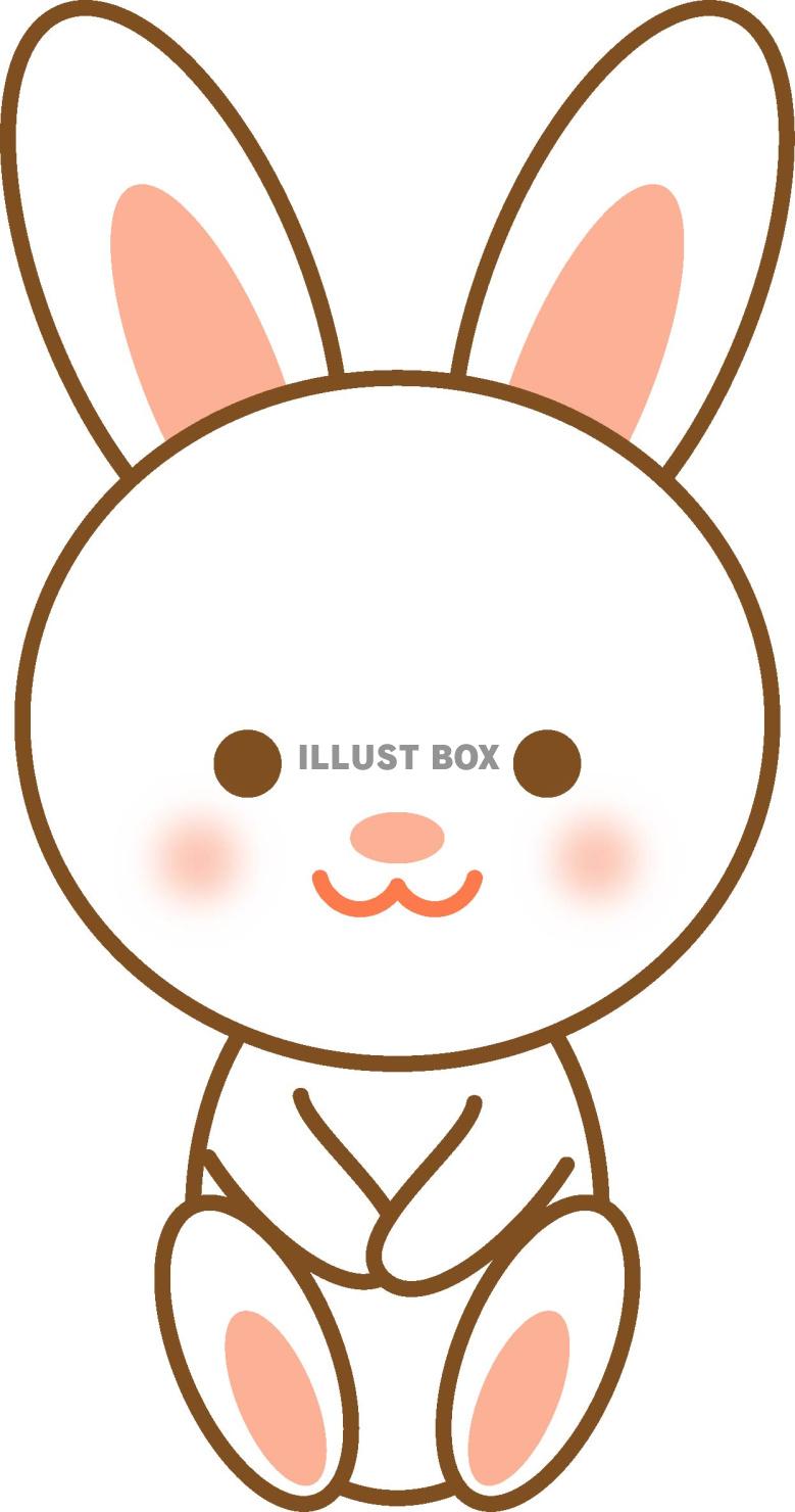 白ウサギ