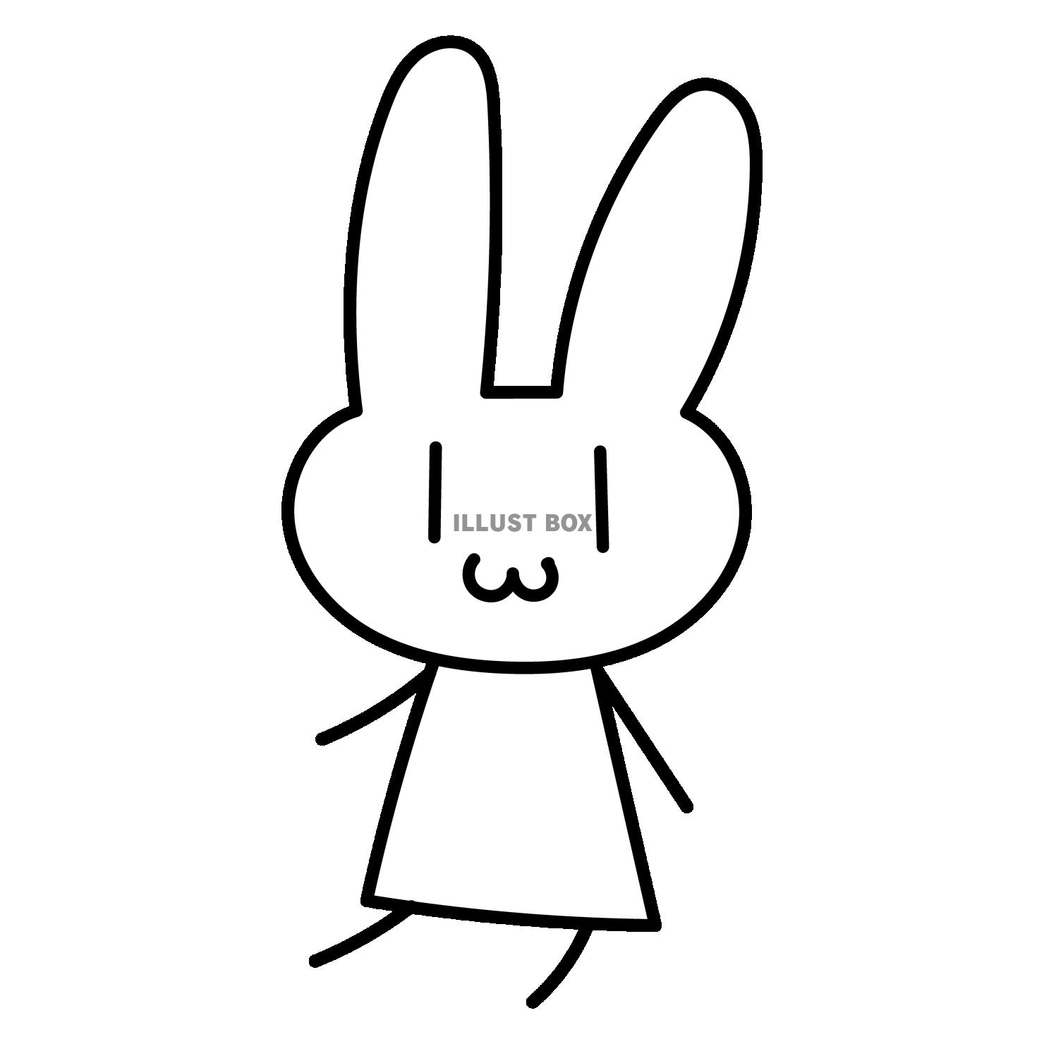 ウサギ