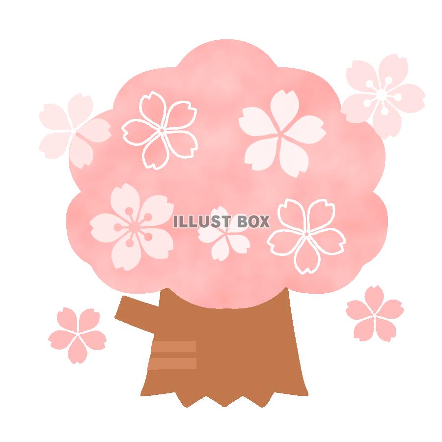 桜の木　透過png