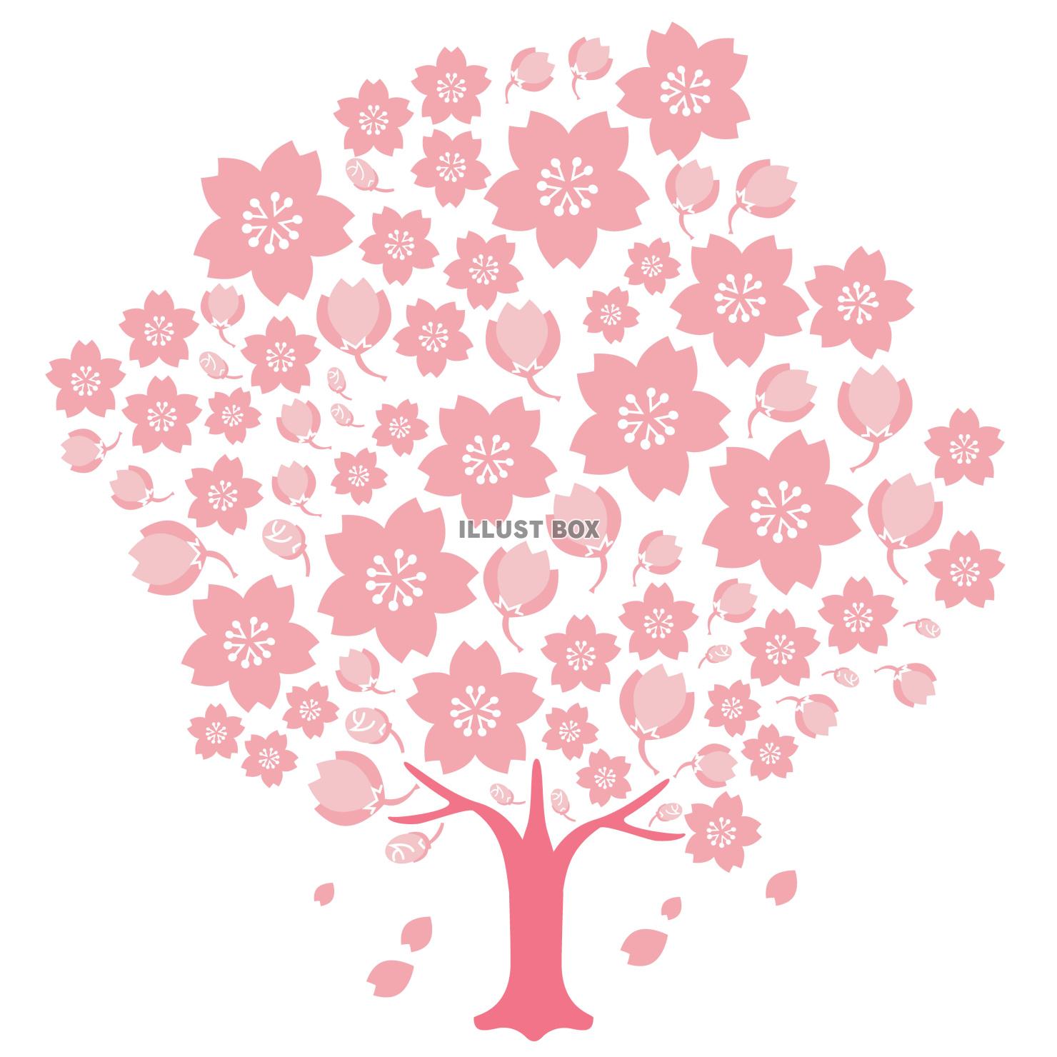 大きい桜　ベクターイラスト