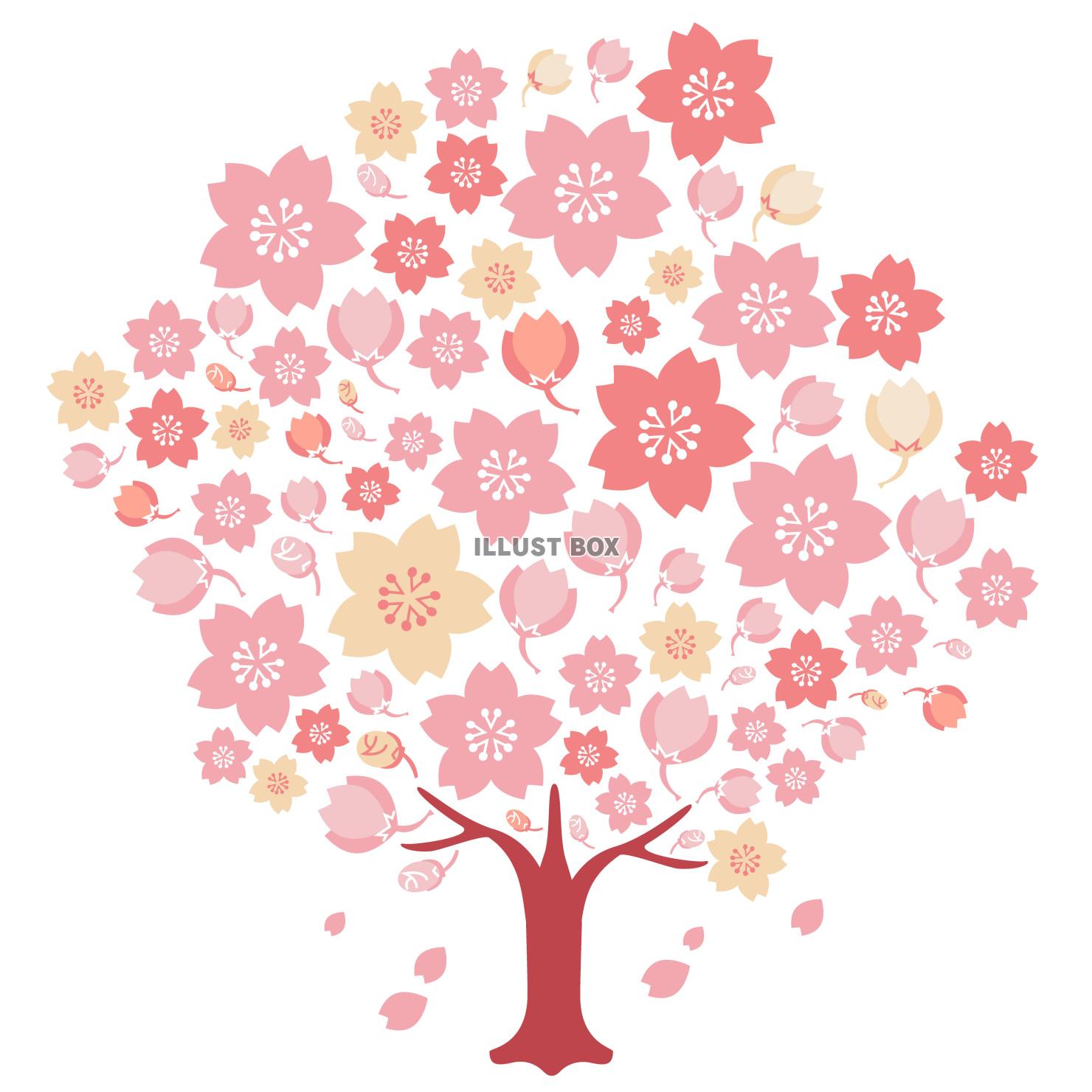 大きな桜その二　ベクターイラスト