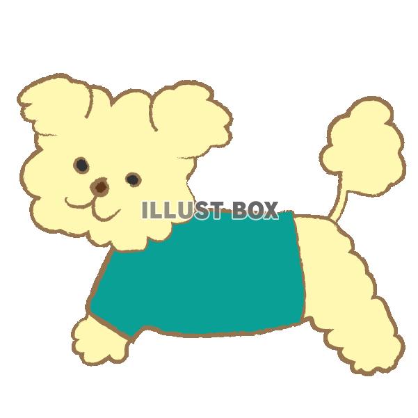 服を着たふさふさな犬