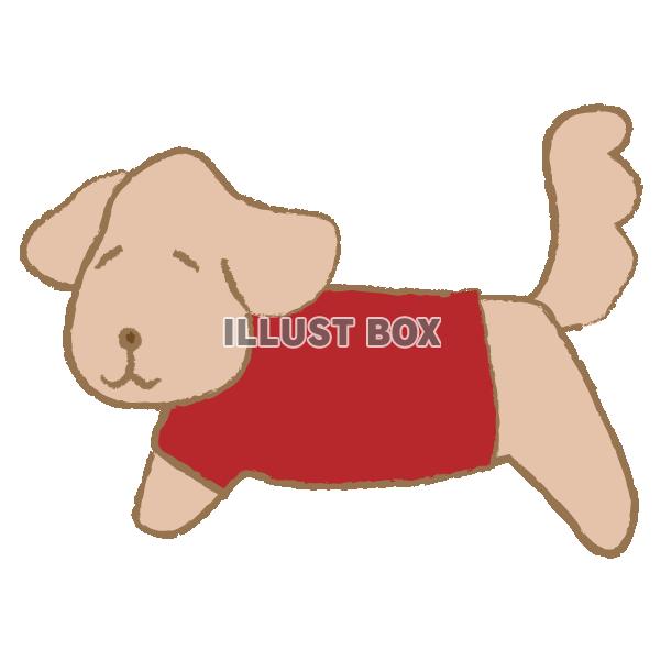 服を着た犬